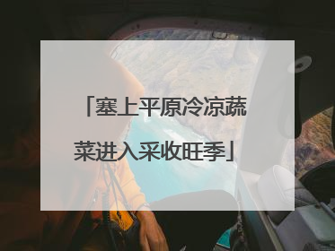 塞上平原冷凉蔬菜进入采收旺季