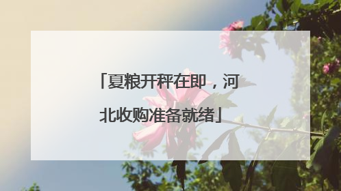 夏粮开秤在即，河北收购准备就绪