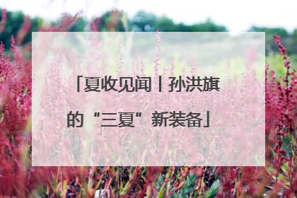 夏收见闻丨孙洪旗的“三夏”新装备