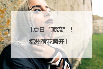 夏日“顶流”！福州荷花盛开