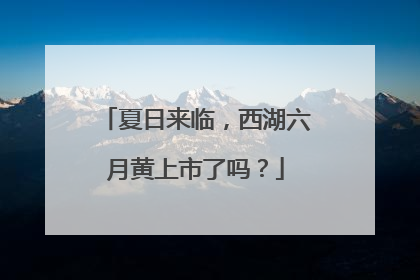 夏日来临，西湖六月黄上市了吗？