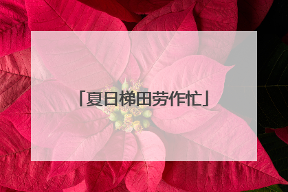 夏日梯田劳作忙