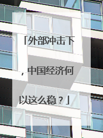 外部冲击下，中国经济何以这么稳？