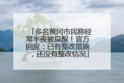 多名黄冈市民称经常半夜被臭醒！官方回应：已有整改措施，还没有整改情况