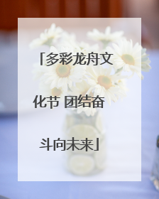 多彩龙舟文化节 团结奋斗向未来