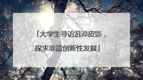 大学生寻访沮漳皮影，探求非遗创新性发展