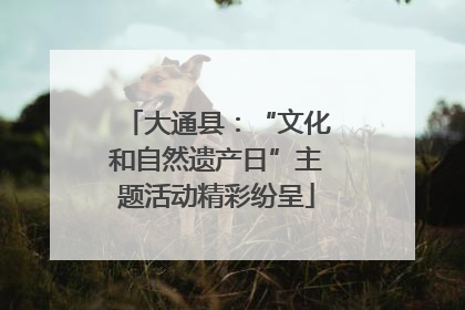 大通县：“文化和自然遗产日”主题活动精彩纷呈