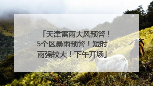 天津雷雨大风预警！5个区暴雨预警！短时雨强较大！下午开场