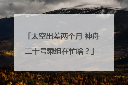 太空出差两个月 神舟二十号乘组在忙啥？