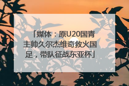 媒体：原U20国青主帅久尔杰维奇救火国足，带队征战东亚杯