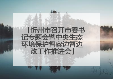 忻州市召开市委书记专题会暨中央生态环境保护督察边督边改工作推进会