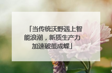 当传统沃野遇上智能浪潮，新质生产力加速破茧成蝶