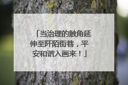 当治理的触角延伸至阡陌街巷，平安和谐入画来！