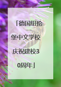 德国纽伦堡中文学校庆祝建校30周年