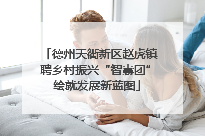 德州天衢新区赵虎镇聘乡村振兴“智囊团” 绘就发展新蓝图