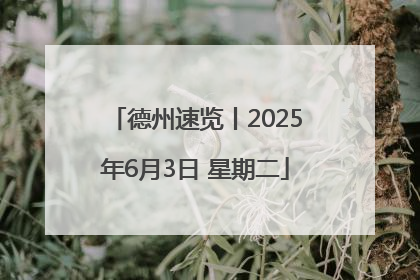 德州速览丨2025年6月3日 星期二