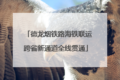 德龙烟铁路海铁联运跨省新通道全线贯通