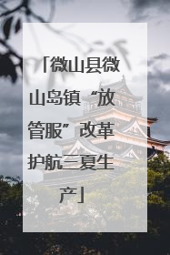 微山县微山岛镇“放管服”改革护航三夏生产