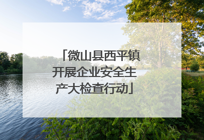 微山县西平镇开展企业安全生产大检查行动