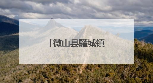 微山县驩城镇筑牢秸秆禁烧“防护网”