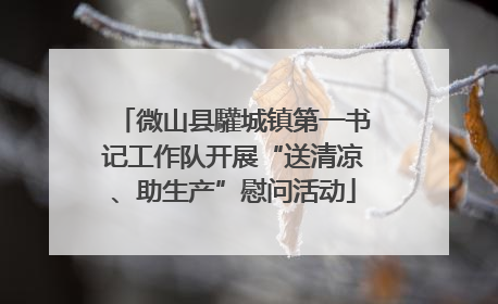 微山县驩城镇第一书记工作队开展“送清凉、助生产”慰问活动