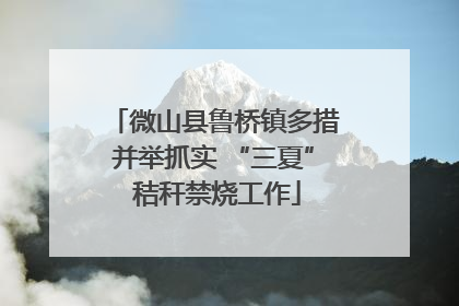 微山县鲁桥镇多措并举抓实 “三夏” 秸秆禁烧工作