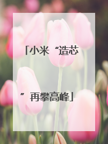 小米“造芯”再攀高峰