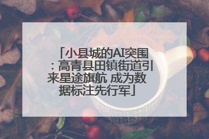小县城的AI突围：高青县田镇街道引来星途旗航 成为数据标注先行军