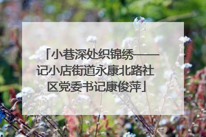 小巷深处织锦绣——记小店街道永康北路社区党委书记康俊萍