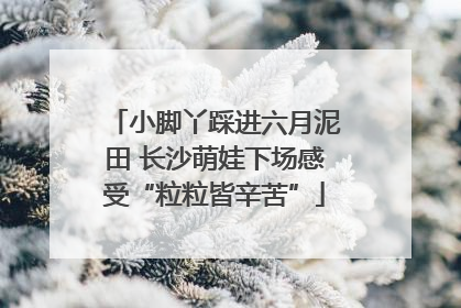小脚丫踩进六月泥田 长沙萌娃下场感受“粒粒皆辛苦”
