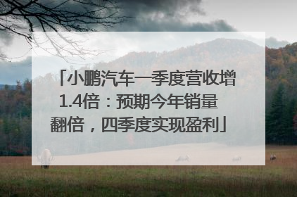 小鹏汽车一季度营收增1.4倍：预期今年销量翻倍，四季度实现盈利