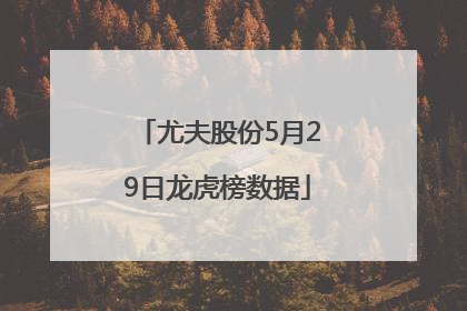 尤夫股份5月29日龙虎榜数据