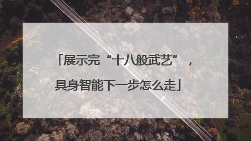 展示完“十八般武艺”，具身智能下一步怎么走
