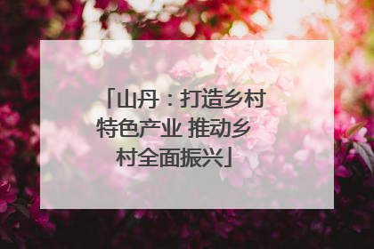 山丹：打造乡村特色产业 推动乡村全面振兴