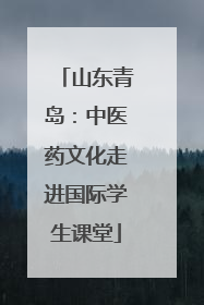山东青岛：中医药文化走进国际学生课堂