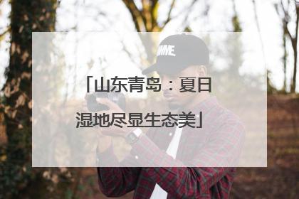 山东青岛：夏日湿地尽显生态美