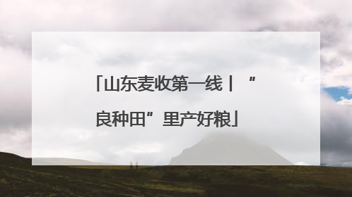 山东麦收第一线丨“良种田”里产好粮