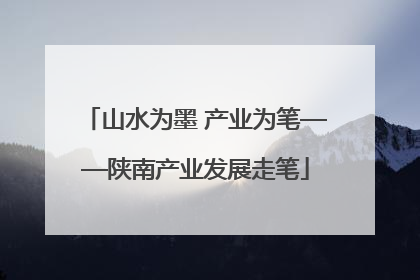 山水为墨 产业为笔——陕南产业发展走笔