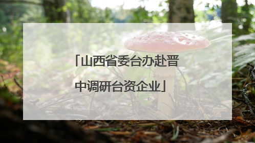 山西省委台办赴晋中调研台资企业