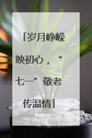 岁月峥嵘映初心，“七一”敬老传温情