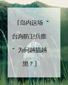 岛内这场“台海防卫兵推”为何越描越黑？