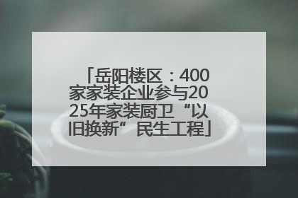 岳阳楼区：400家家装企业参与2025年家装厨卫“以旧换新”民生工程