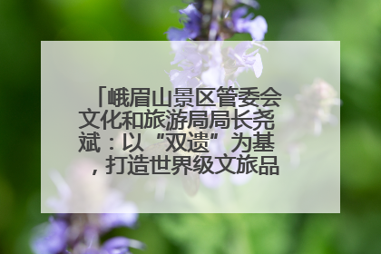 峨眉山景区管委会文化和旅游局局长尧斌：以“双遗”为基，打造世界级文旅品牌与国际典范