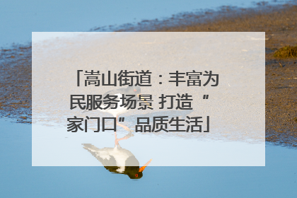 嵩山街道：丰富为民服务场景 打造“家门口”品质生活