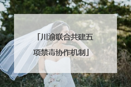 川渝联合共建五项禁毒协作机制