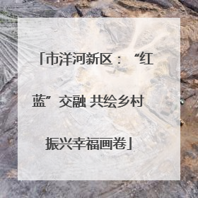 市洋河新区：“红蓝”交融 共绘乡村振兴幸福画卷