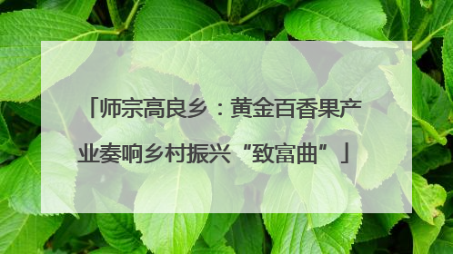 师宗高良乡：黄金百香果产业奏响乡村振兴“致富曲”