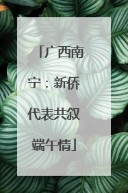 广西南宁：新侨代表共叙端午情