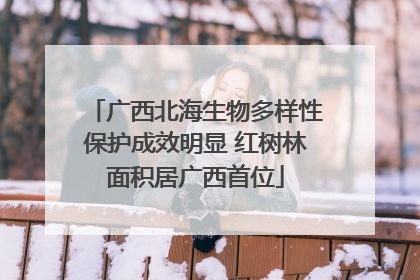 广西北海生物多样性保护成效明显 红树林面积居广西首位