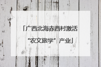 广西北海赤西村激活“农文旅学”产业